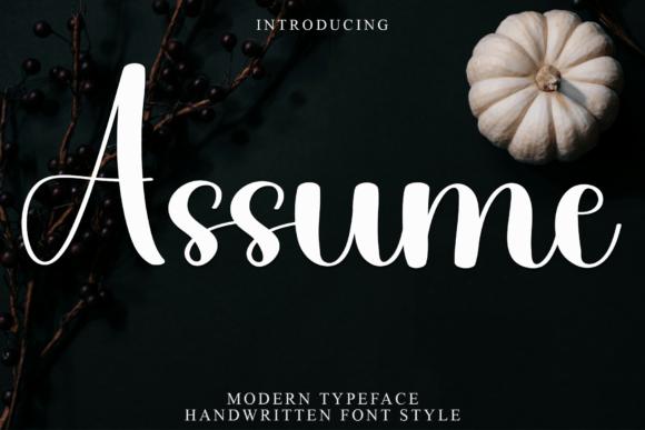 Assume: A Friendly Font for Business