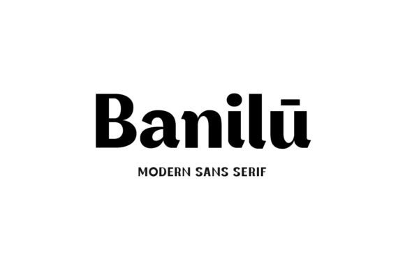 Banilu: A Font for Modern Business