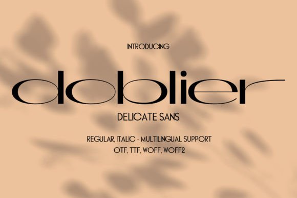 Doblier: A Modern Sans Serif for Web Design